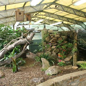 View Of Tropical House 2