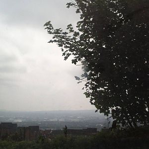 my phone pictures of Belfast Zoo 21/07/2013