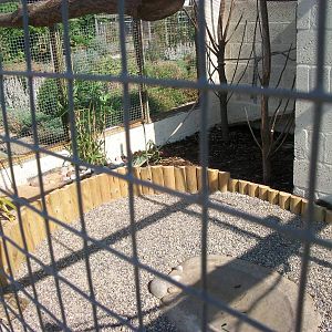 Filey Bird Garden and Animal Park, Parrot Aviary completed and occupied 2nd