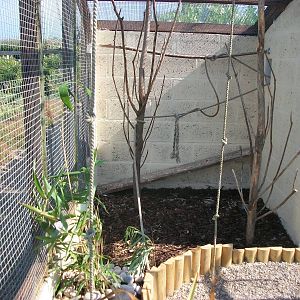 Filey Bird Garden and Animal Park, Parrot Aviary completed and occupied 2nd