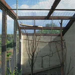 Filey Bird Garden and Animal Park, Parrot Aviary completed and occupied 2nd