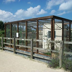Filey Bird Garden and Animal Park, Parrot Aviary completed and occupied 2nd