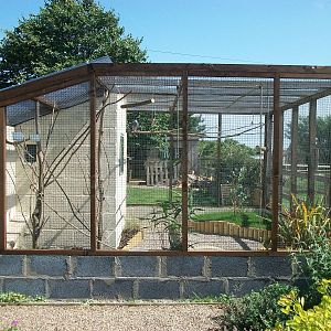 Filey Bird Garden and Animal Park, Parrot Aviary completed and occupied 2nd