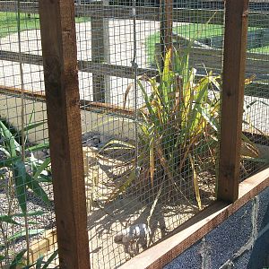 Filey Bird Garden and Animal Park, Parrot Aviary completed and occupied 2nd