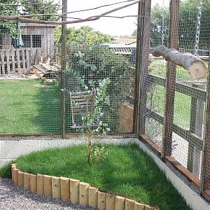 Filey Bird Garden and Animal Park, Parrot Aviary completed and occupied 2nd