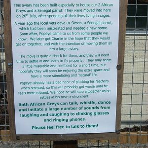 Filey Bird Garden and Animal Park, Parrot Aviary information 2nd August 201