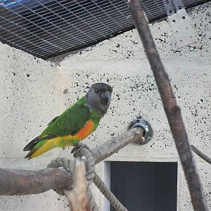 Filey Bird Garden and Animal Park, Simon 2nd August 2013