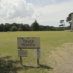 Tower Meadow