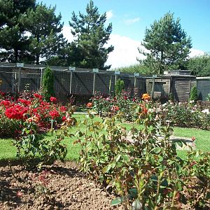 Filey Bird Garden and Animal Park, gardens 2nd August 2013