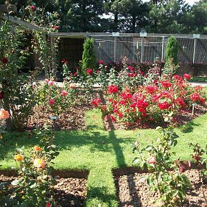 Filey Bird Garden and Animal Park, gardens 2nd August 2013