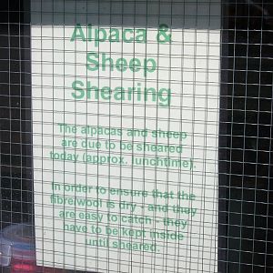 Filey Bird Garden and Animal Park, information 2nd August 2013