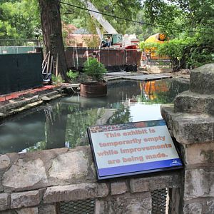 capybara construction