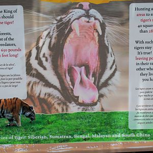 tiger sign - bad math