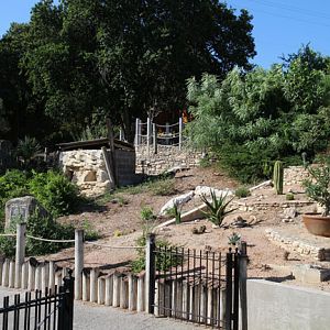 aviary and cat exhibit gone