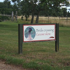 Sign on drive way to the car park