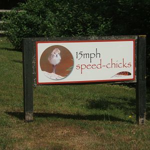 Sign on drive way to the car park