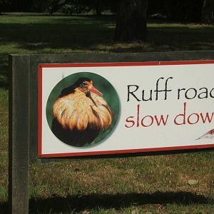 Sign on drive way to the car park