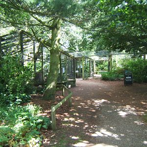 View of Red Squirrel breeding complex