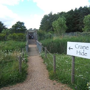 View towards one ofthe captive Crane viewing hides