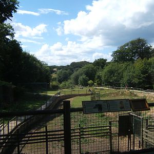 View from the top of the Tapir house