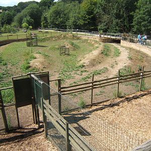 View of Tapir and Capybara enclosure from on top of the House