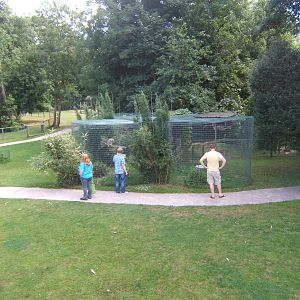 View of Owl Aviary from the ramp to the Tropical House