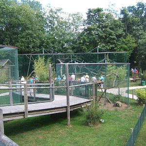 View from ramp to the Tropical House