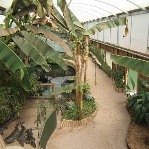 View inside the Tropical House