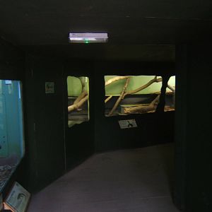 View of some reptile exhibits under the walk way inside the Tropical House