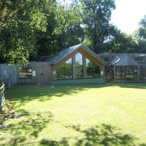 View of Fossa exhibit