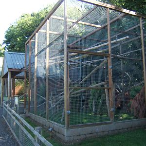 View of Fossa exhibit