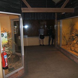 View inside Bat and Aardvark House