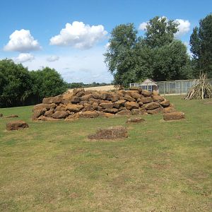 View of part of the Barbary Sheep enclosure