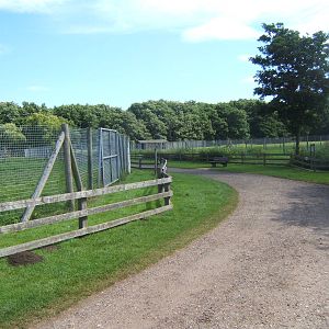 View of wetland Antelope paddocks