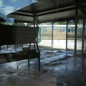 View of Zebra stalls