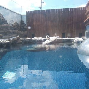 View of penguin exhibit