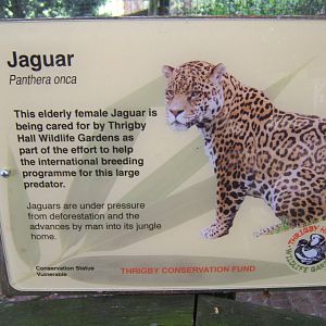 Jaguar sign