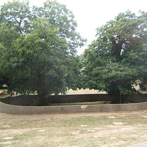 View of Red Panda enclosure