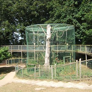 Siamang enclosure