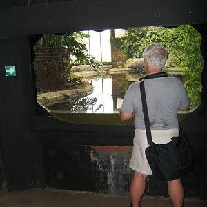 Underwater viewing for Mugger