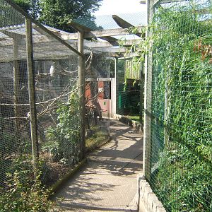 View of Pool Garden Aviarys