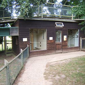 Primate indoor housing