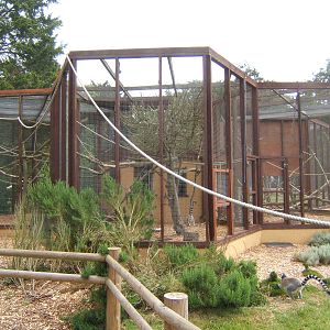 View of Lemur housing inside the Lemur encounter