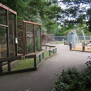 View of small cat row