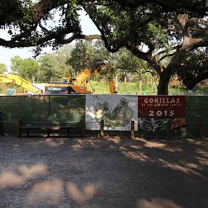 gorilla construction site