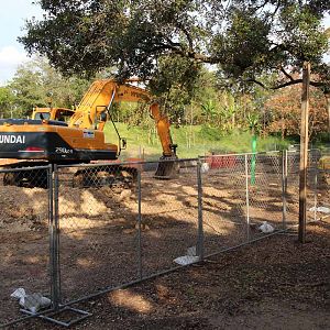 gorilla construction site