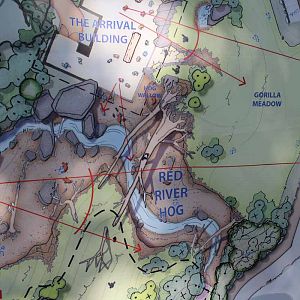 gorilla construction plans