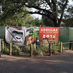 gorilla construction site