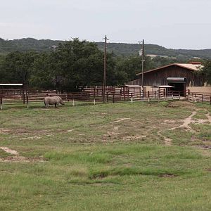 Intensive Management Area