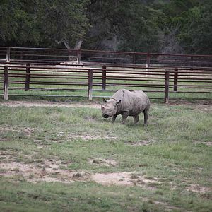 Intensive Management Area